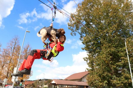 Slovenija oživlja 11 Foto Ljubo Vukelič